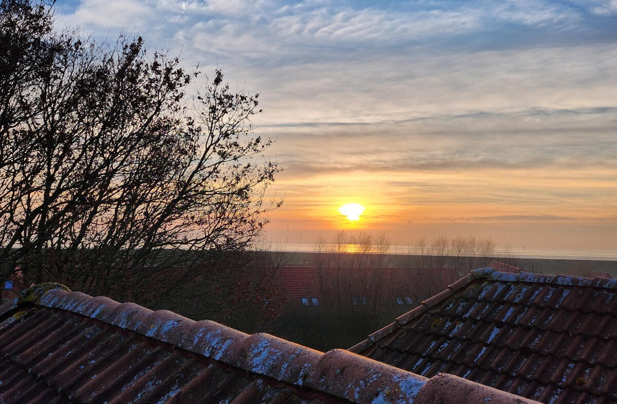 Ausblick Dachfenster
